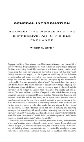 Panorama Philosophies Of The Visible Wilhelm S Wurzer Editor