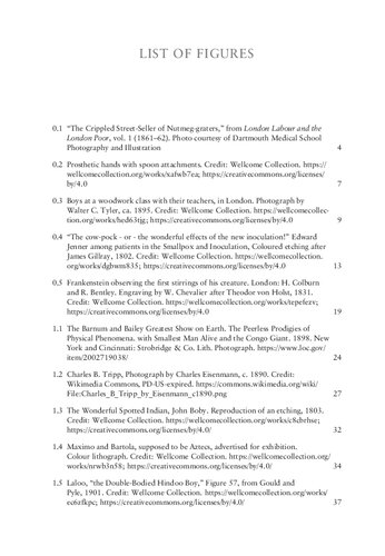 A Cultural History Of Disability In The Long Nineteenth Century Joyce L Huff Martha Stoddard Holmes Editors