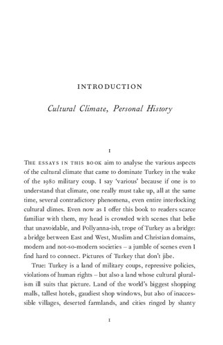 The New Cultural Climate In Turkey Nurdan Grbilek