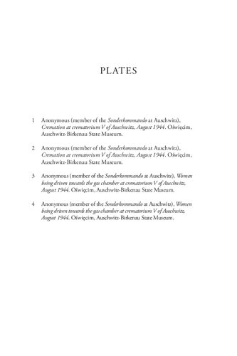 Auschwitz And Afterimages Abjection Witnessing And Representation Nicholas Chare