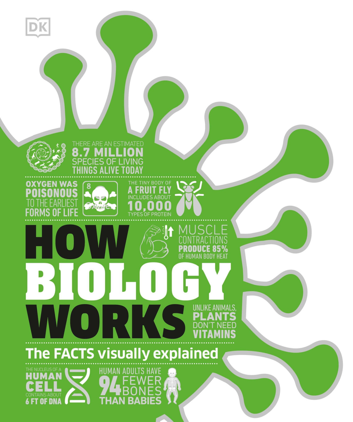 How Biology Works Dk