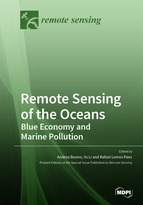 Remote Sensing Of The Oceans Blue Economy And Marine Pollution Andrea Buono