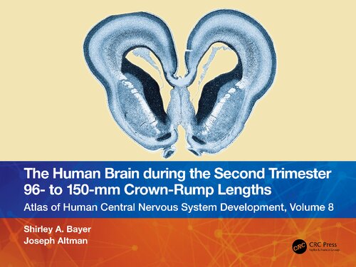 The Human Brain During The Second Trimester 96 To 150mm Crownrump Lengths Atlas Of Human Central Nervous System Development Volume 8 Shirley A Bayer