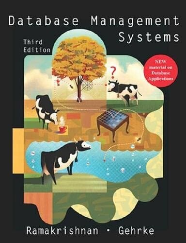 Database Management Systems 3rd Edition Raghu Ramakrishnan Johannes Gehrke