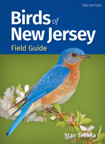 Birds Of New Jersey Field Guide 2nd Edition Stan Tekiela