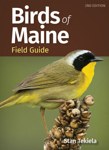 Birds Of Maine Field Guide 2nd Edition Stan Tekiela