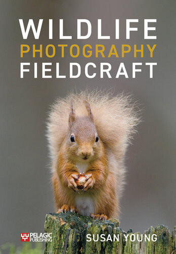 Wildlife Photography Fieldcraft Susan Young