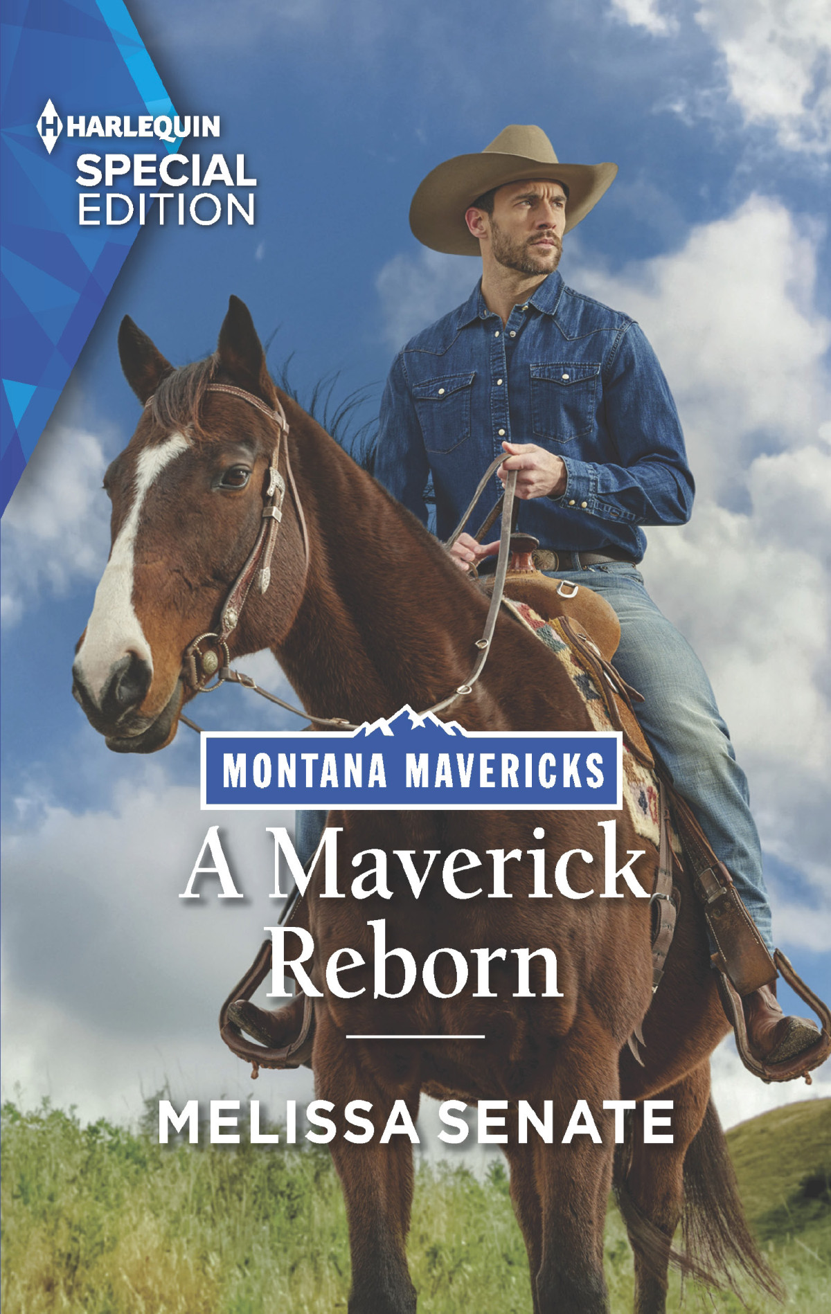 A Maverick Reborn Melissa Senate