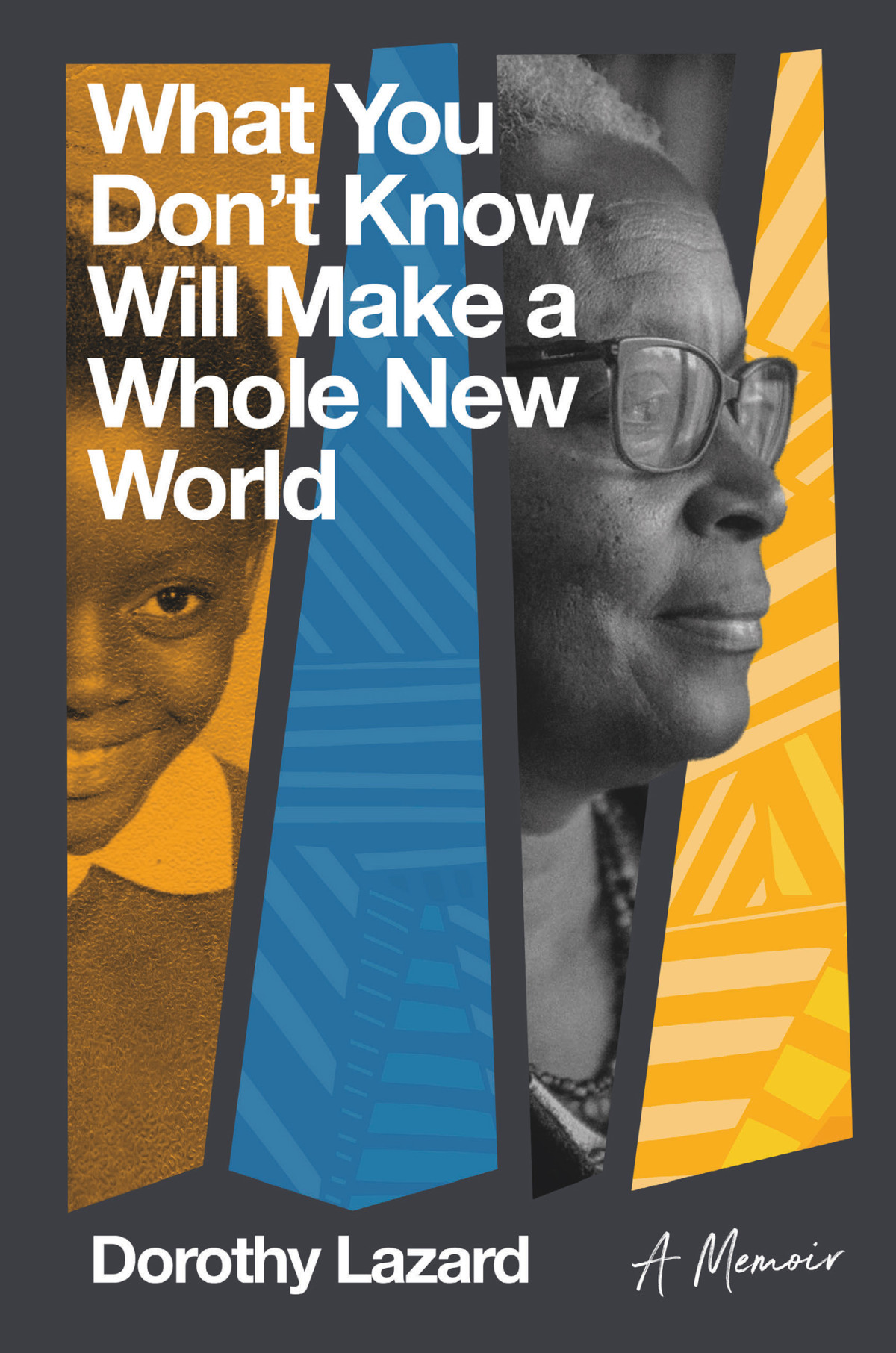 What You Dont Know Will Make A Whole New World A Memoir Dorothy Lazard