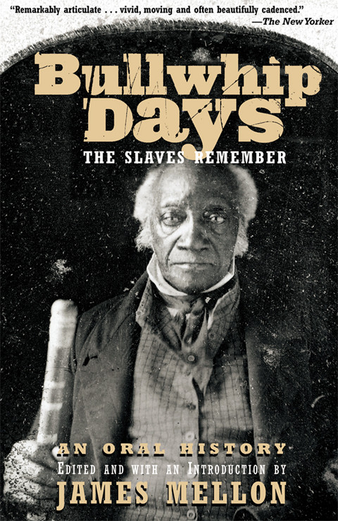 Bullwhip Days James Mellon