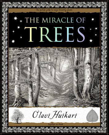 The Miracle Of Trees Olavi Huikari