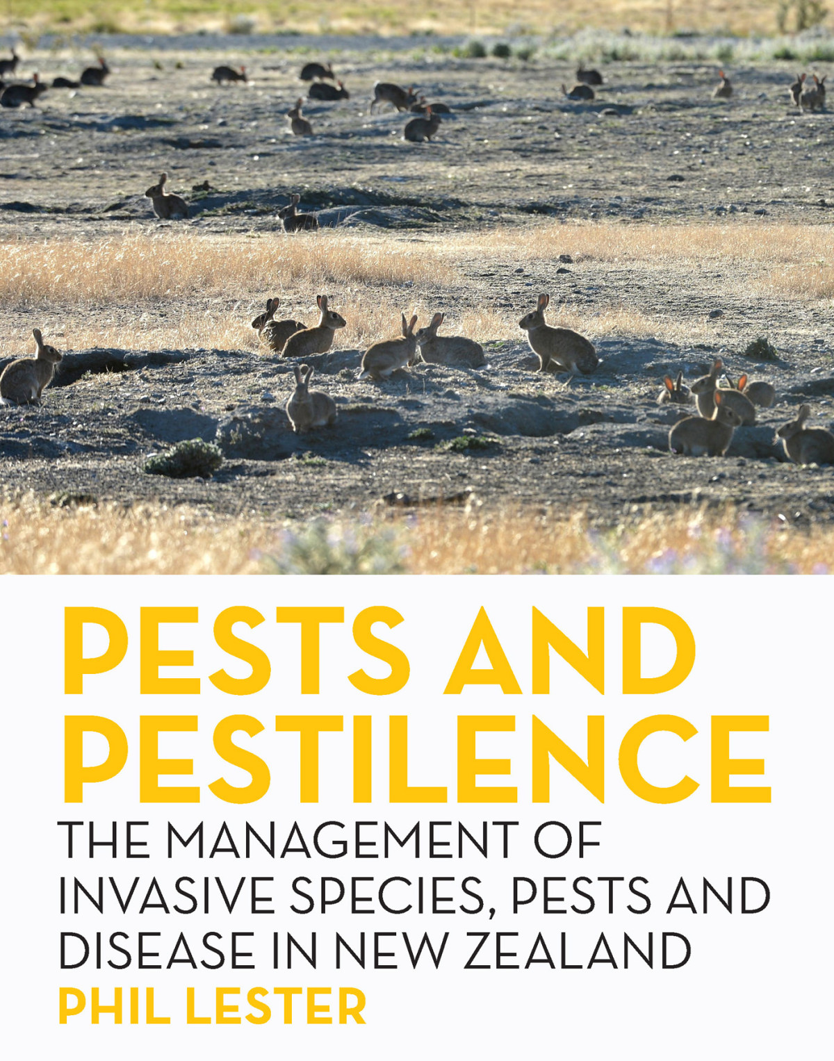 Pests And Pestilence 1st Edition Phil Lester