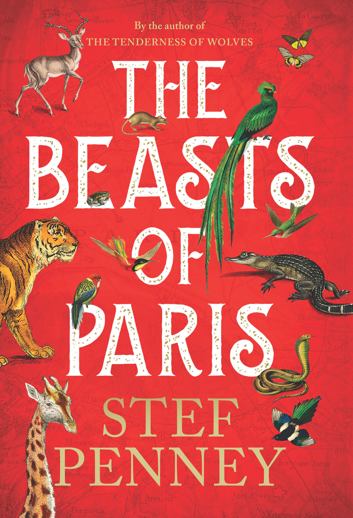 The Beasts Of Paris 1st Edition Stef Penney