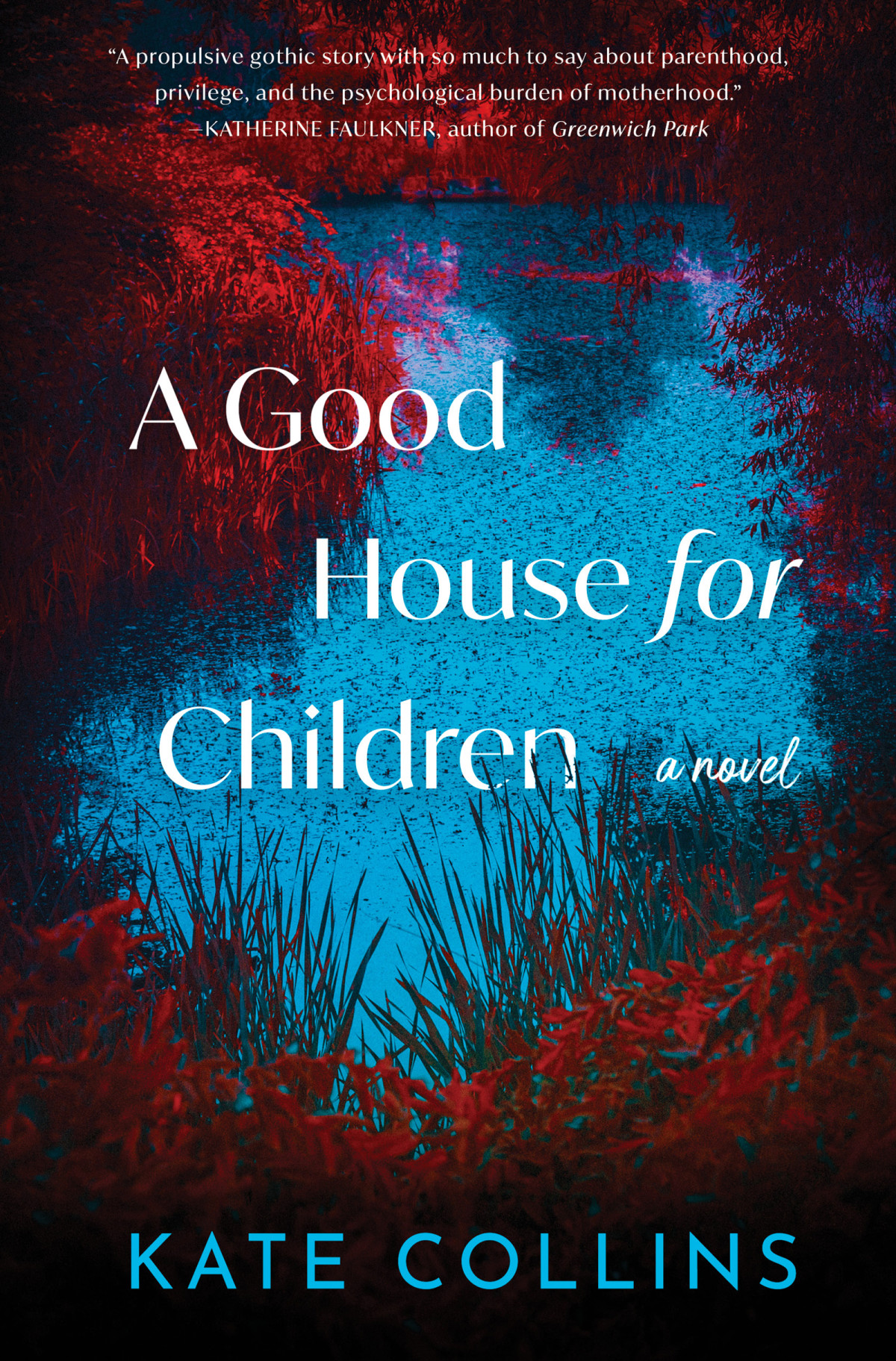A Good House For Children A Novel Kate Collins