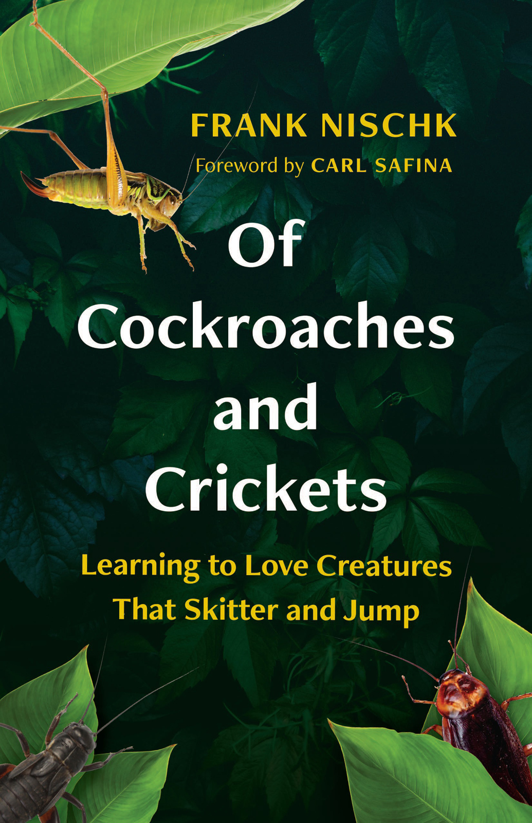 Of Cockroaches And Crickets Frank Nischk
