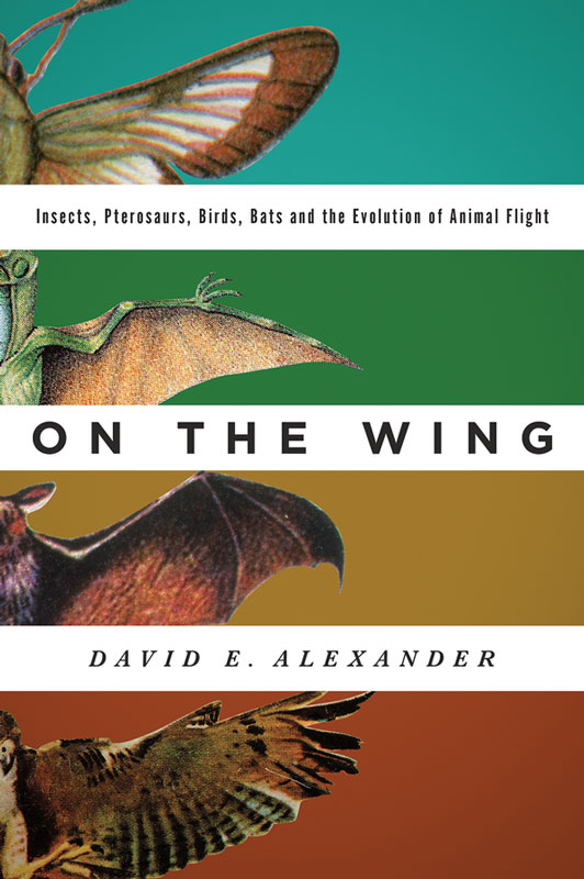 On The Wing David E Alexander