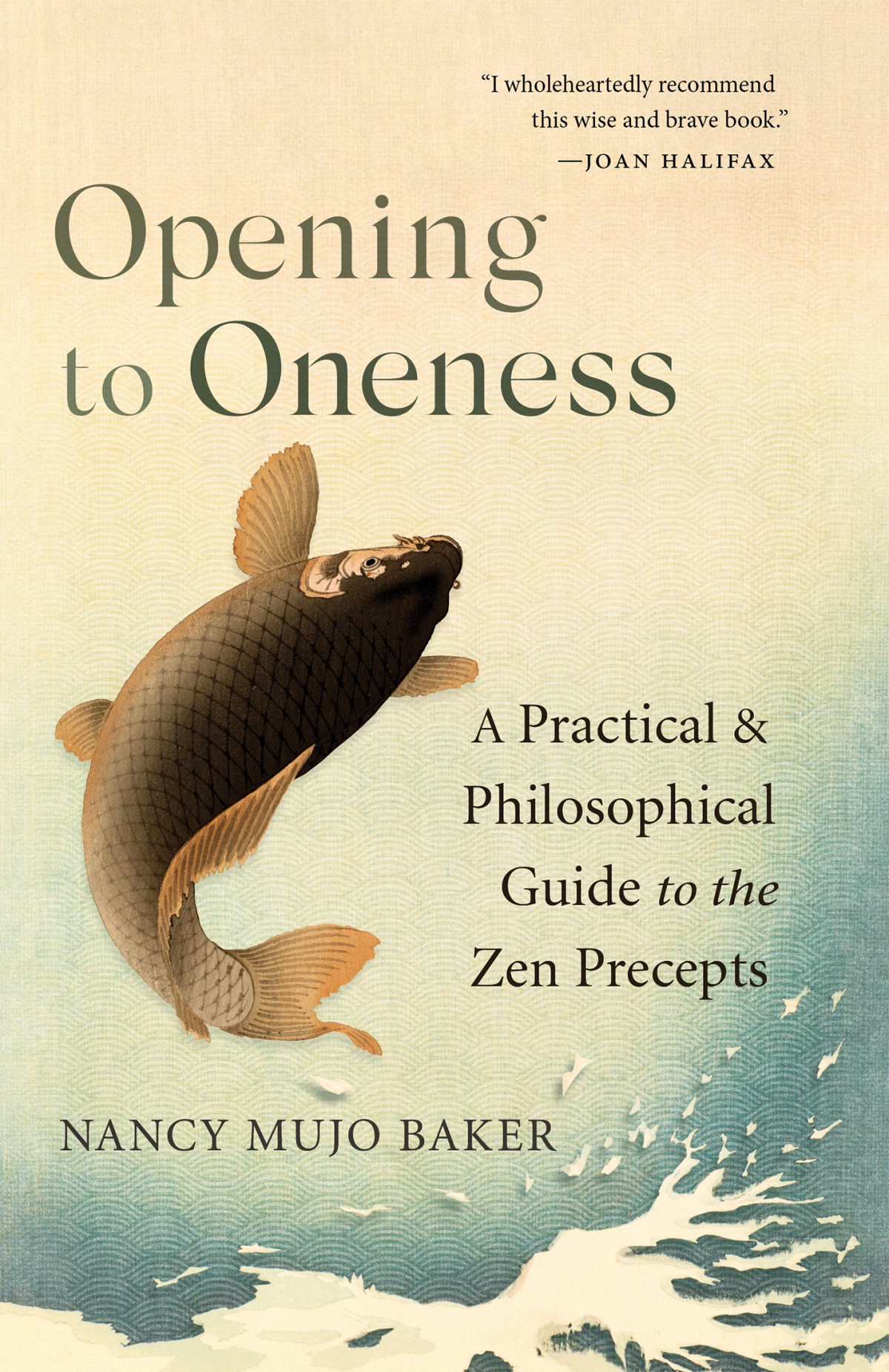 Opening To Oneness A Practical And Philosophical Guide To The Zen Precepts Nancy Mujo Baker