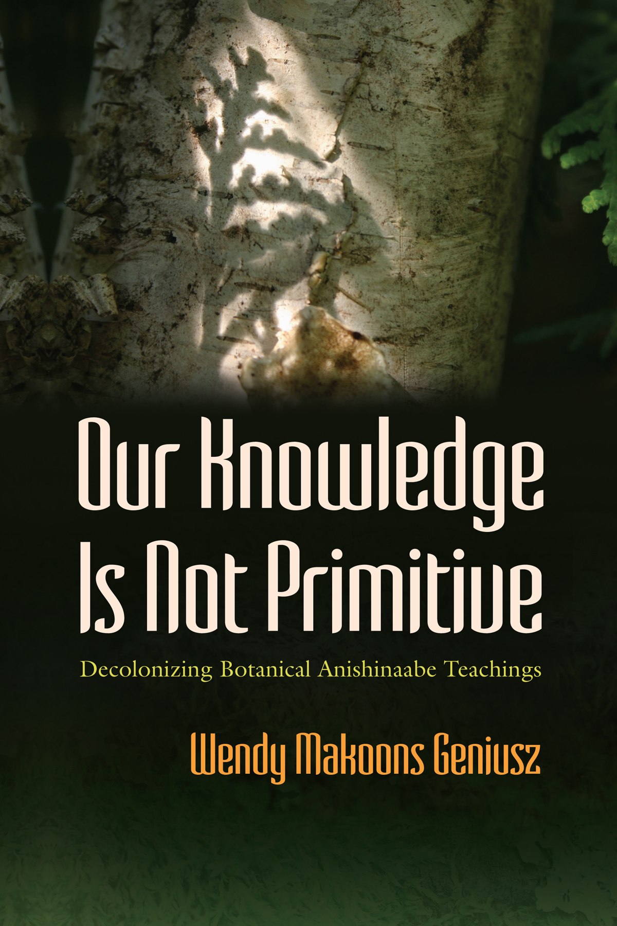 Our Knowledge Is Not Primitive Wendy Makoons Geniusz