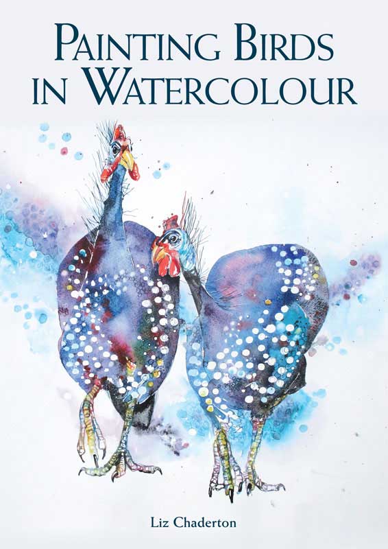 Painting Birds In Watercolour Liz Chaderton