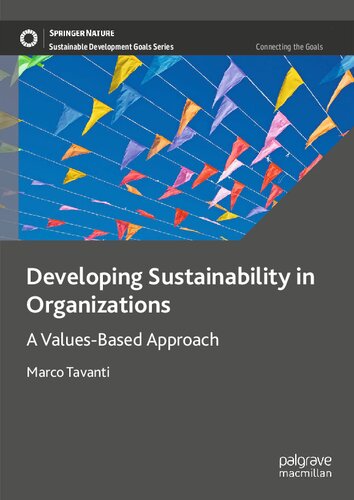 Developing Sustainability In Organizations A Valuesbased Approach Marco Tavanti