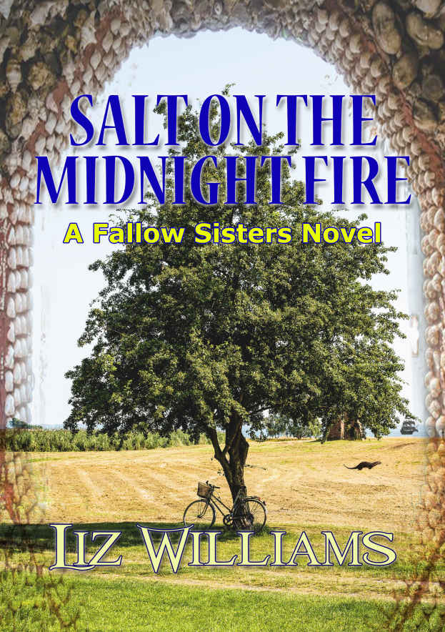 Salt On The Midnight Fire Williams Liz