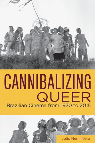 Cannibalizing Queer Brazilian Cinema From 1970 To 2015 1st Edition Joo Nemi Neto