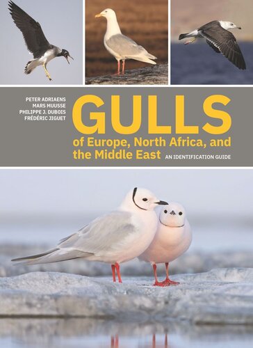 Gulls Of Europe North Africa And The Middle East An Identification Guide Peter Adriaens Mars Muusse Philippe J Dubois Frdric Jiguet