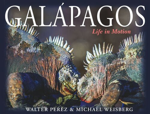 Galpagos Life In Motion Walter Perez Michael Weisberg