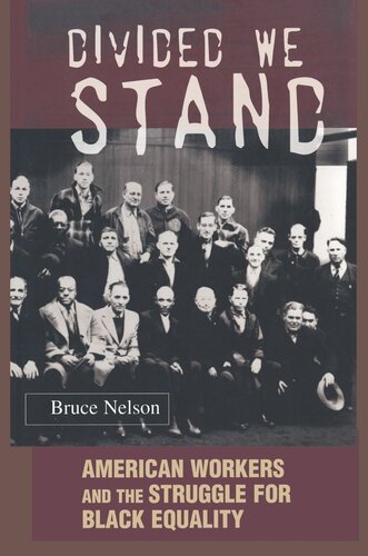 Divided We Stand American Workers And The Struggle For Black Equality Bruce Nelson
