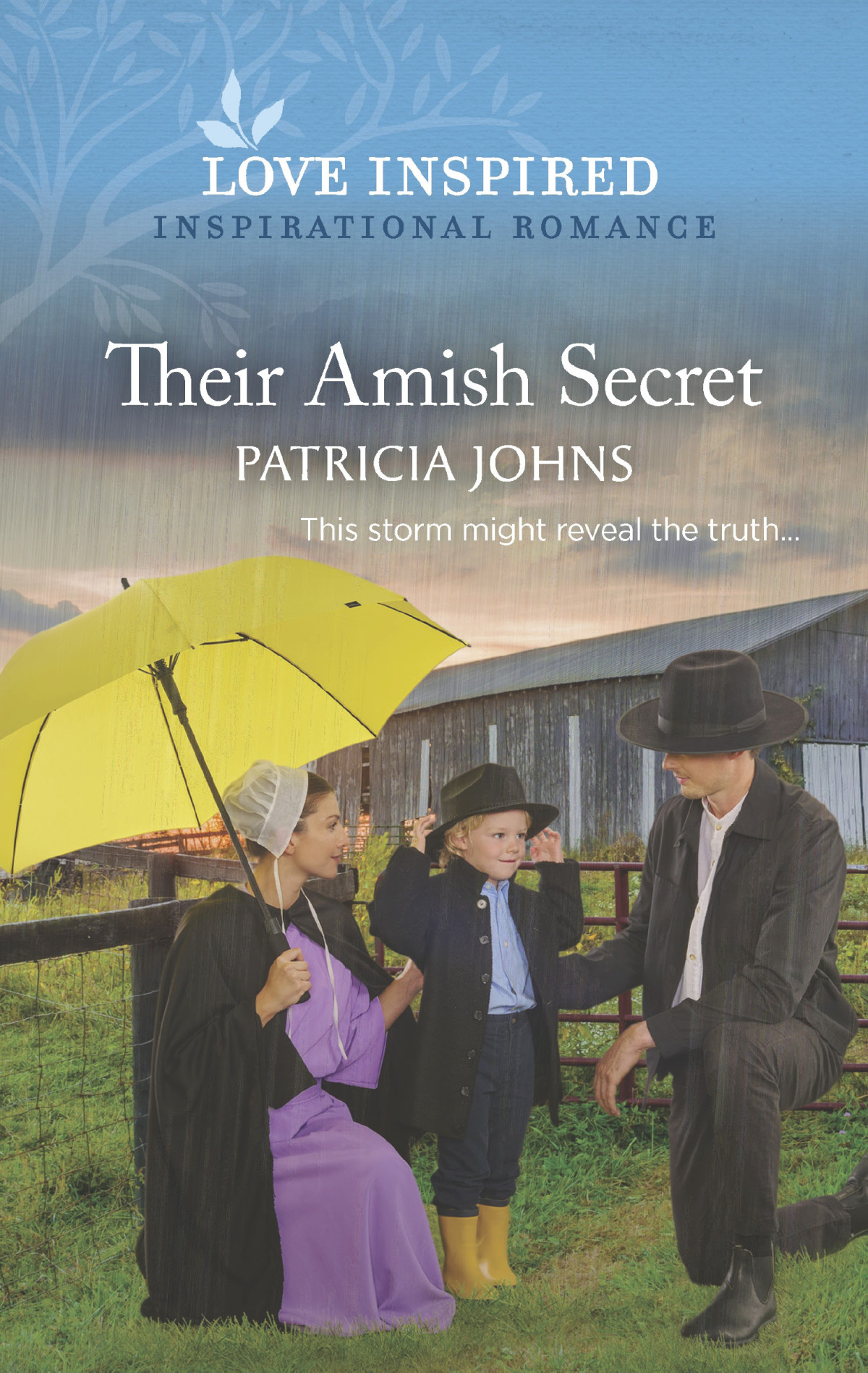Their Amish Secret Patricia Johns