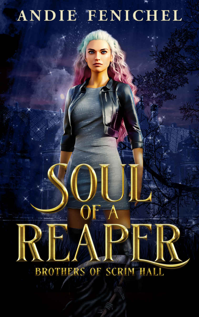 Soul Of A Reaper Fenichel Andie