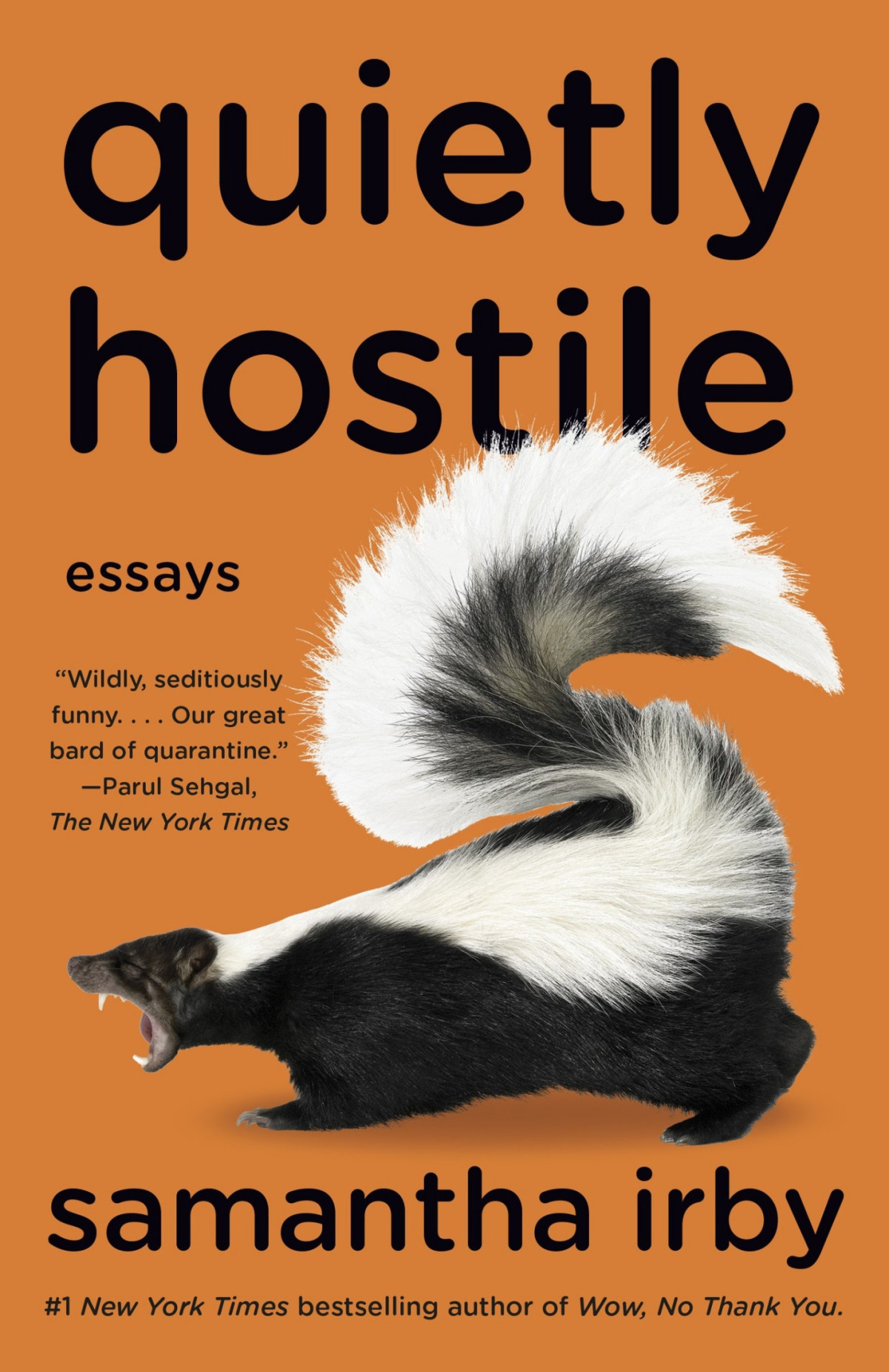 Quietly Hostile Essays Samantha Irby