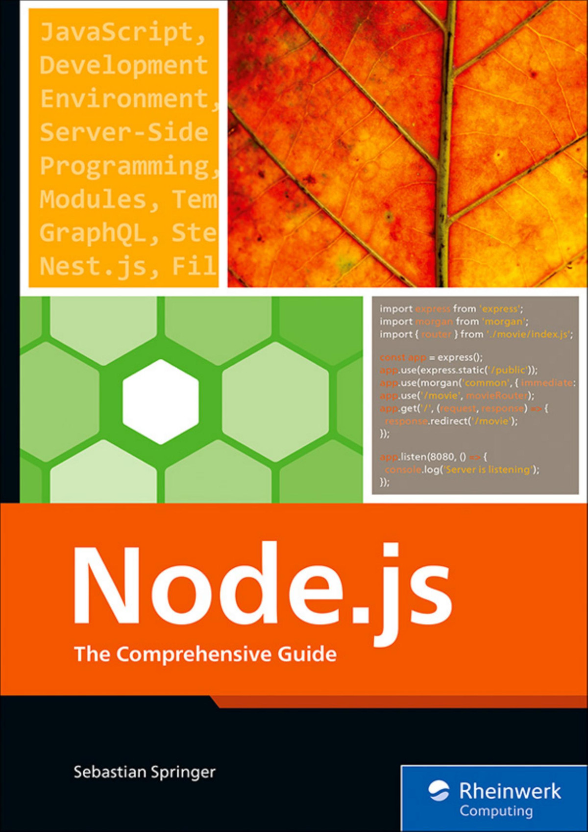 Nodejs The Comprehensive Guide Springer Sebastian
