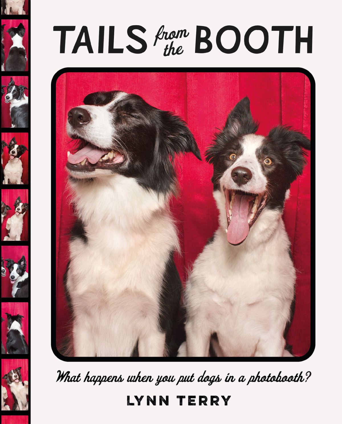 Tails From The Booth Lynn Terry