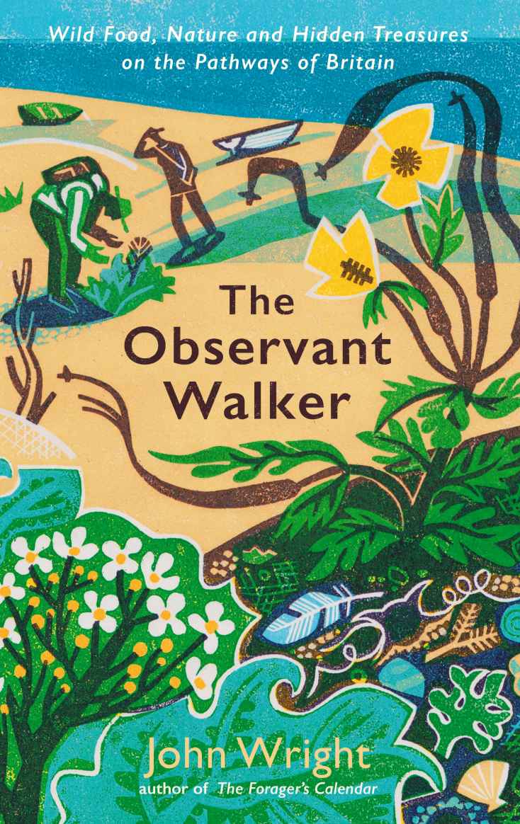 The Observant Walker 1st Edition John Wright