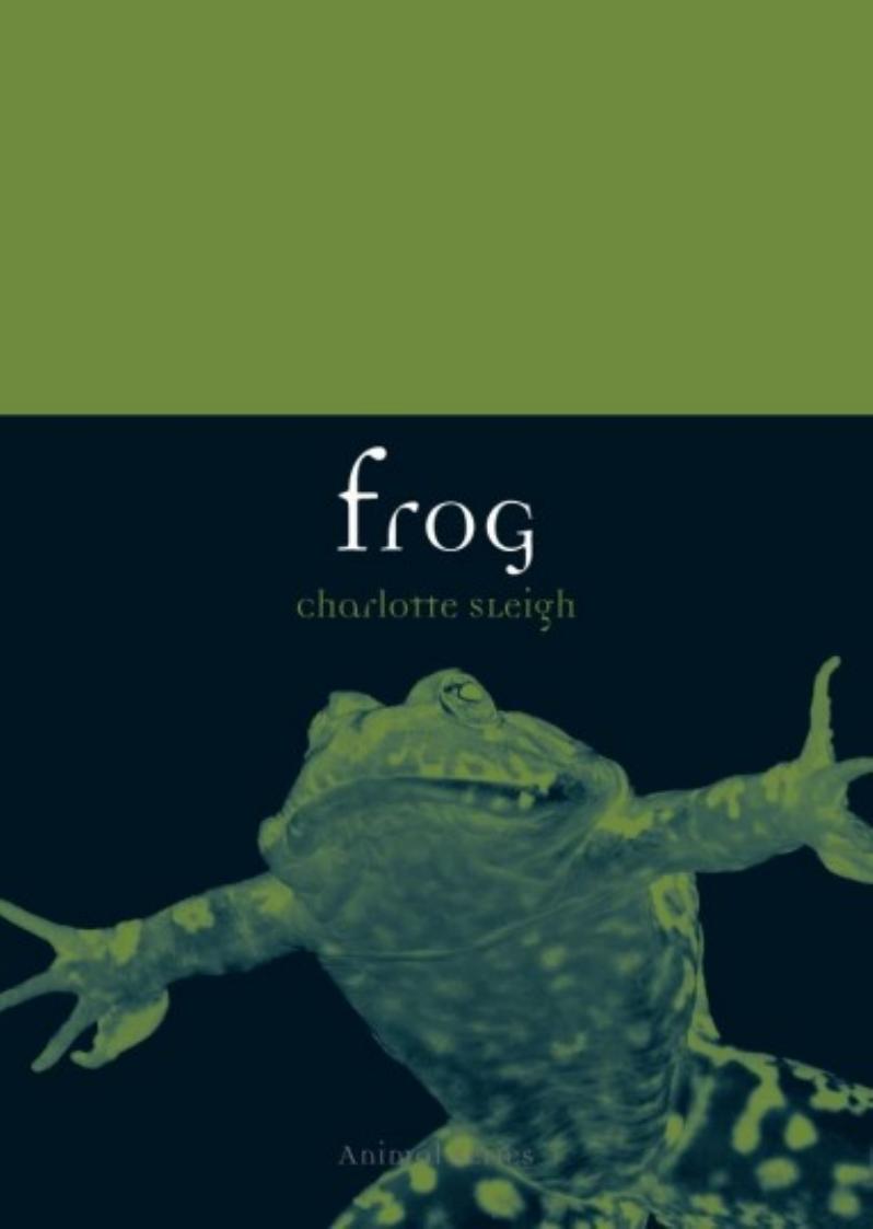 Frog Charlotte Sleigh