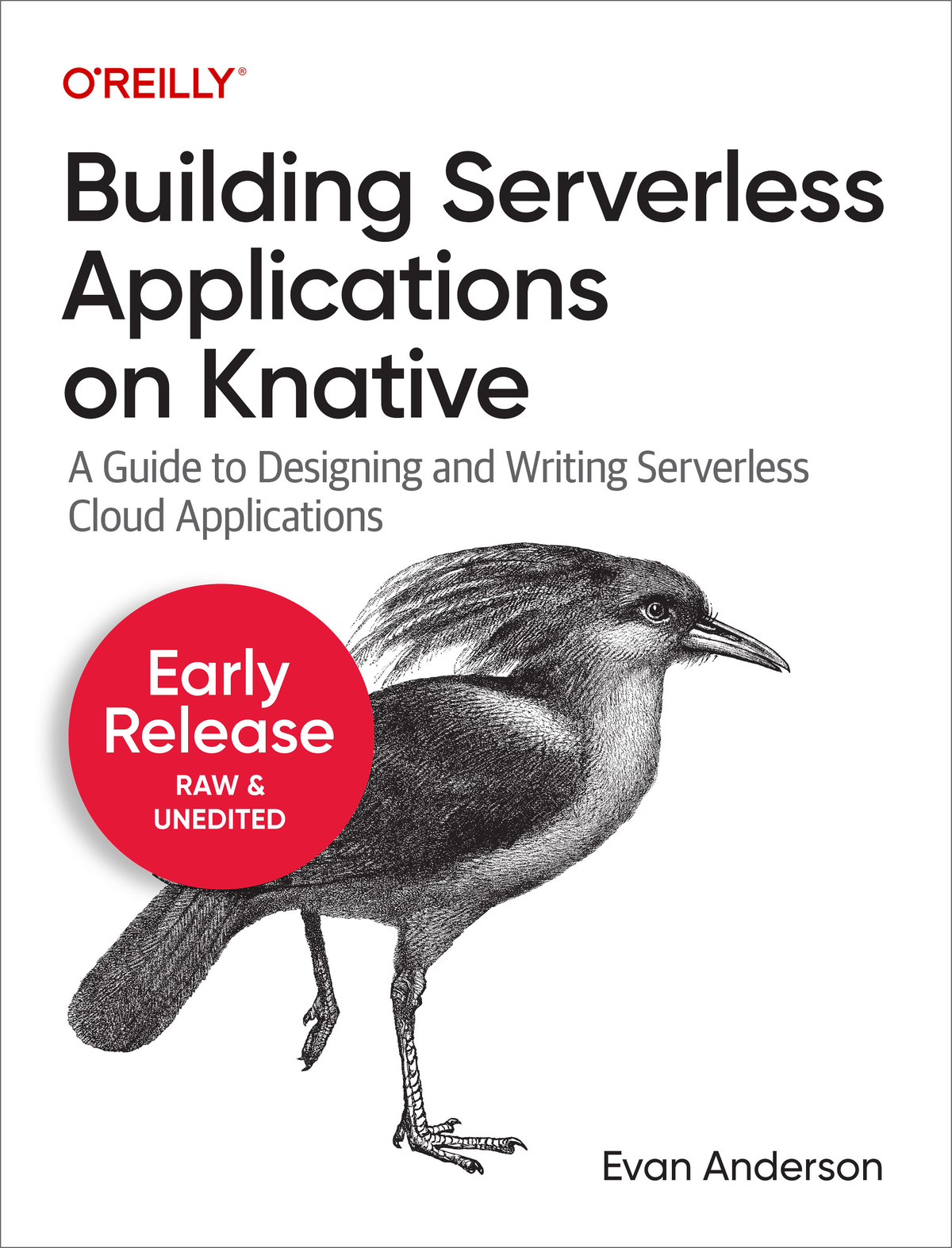 Building Serverless Applications On Knative Fifth Release Evan Anderson