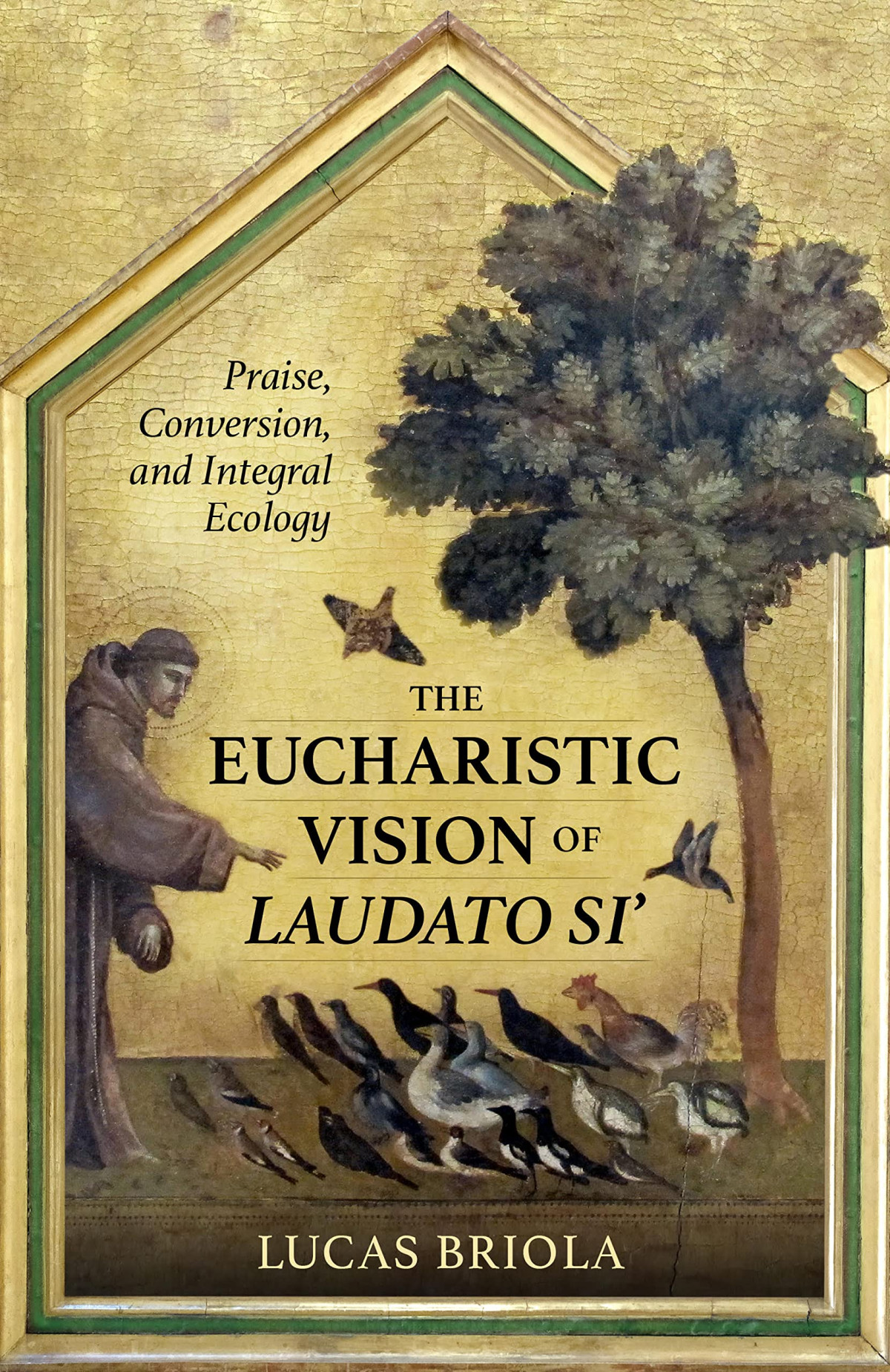 The Eucharistic Vision Of Laudato Si Praise Conversion And Integral Ecology 1st Edition Lucas Briola