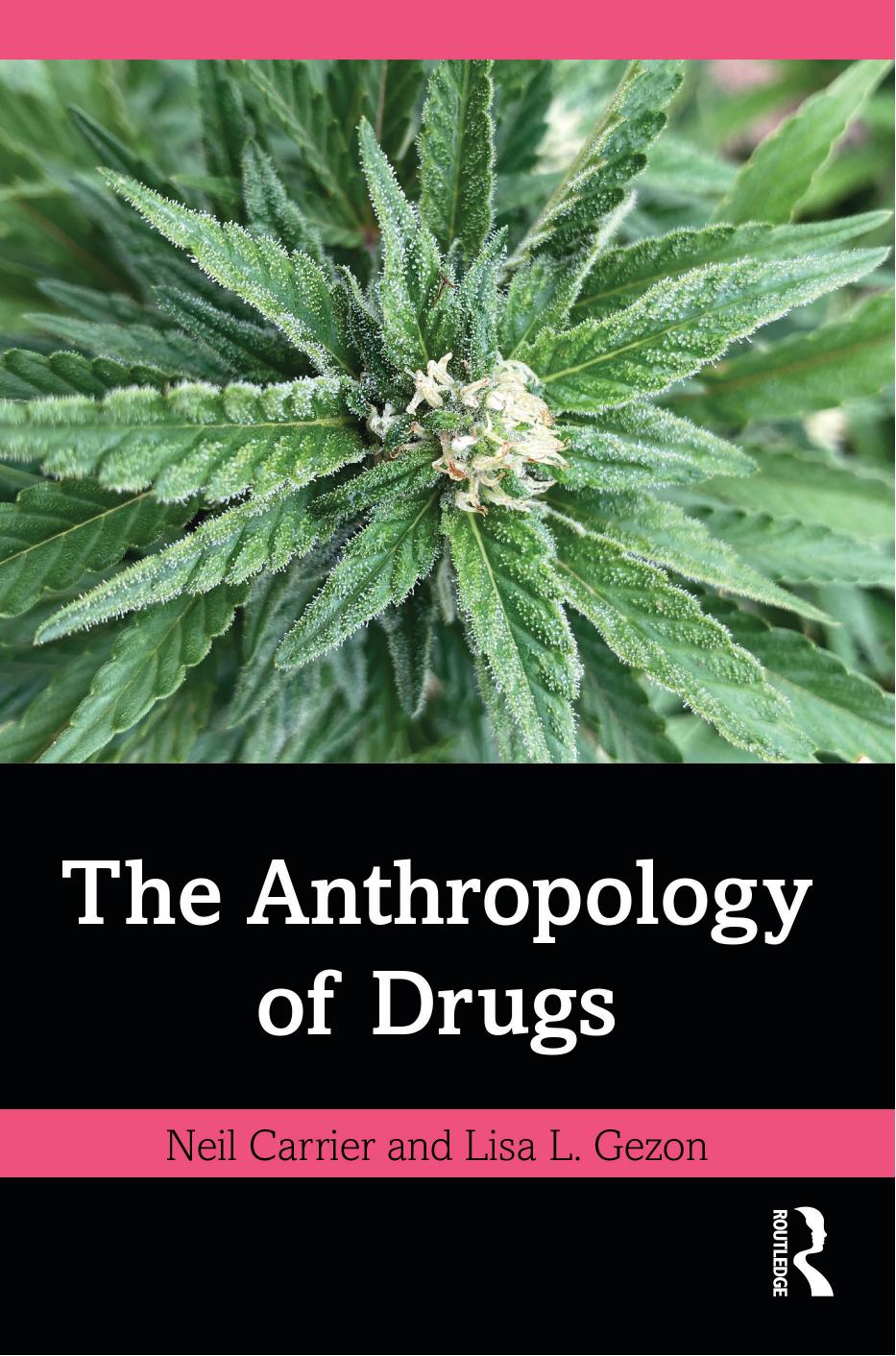 The Anthropology Of Drugs Neil Carrier Lisa L Gezon
