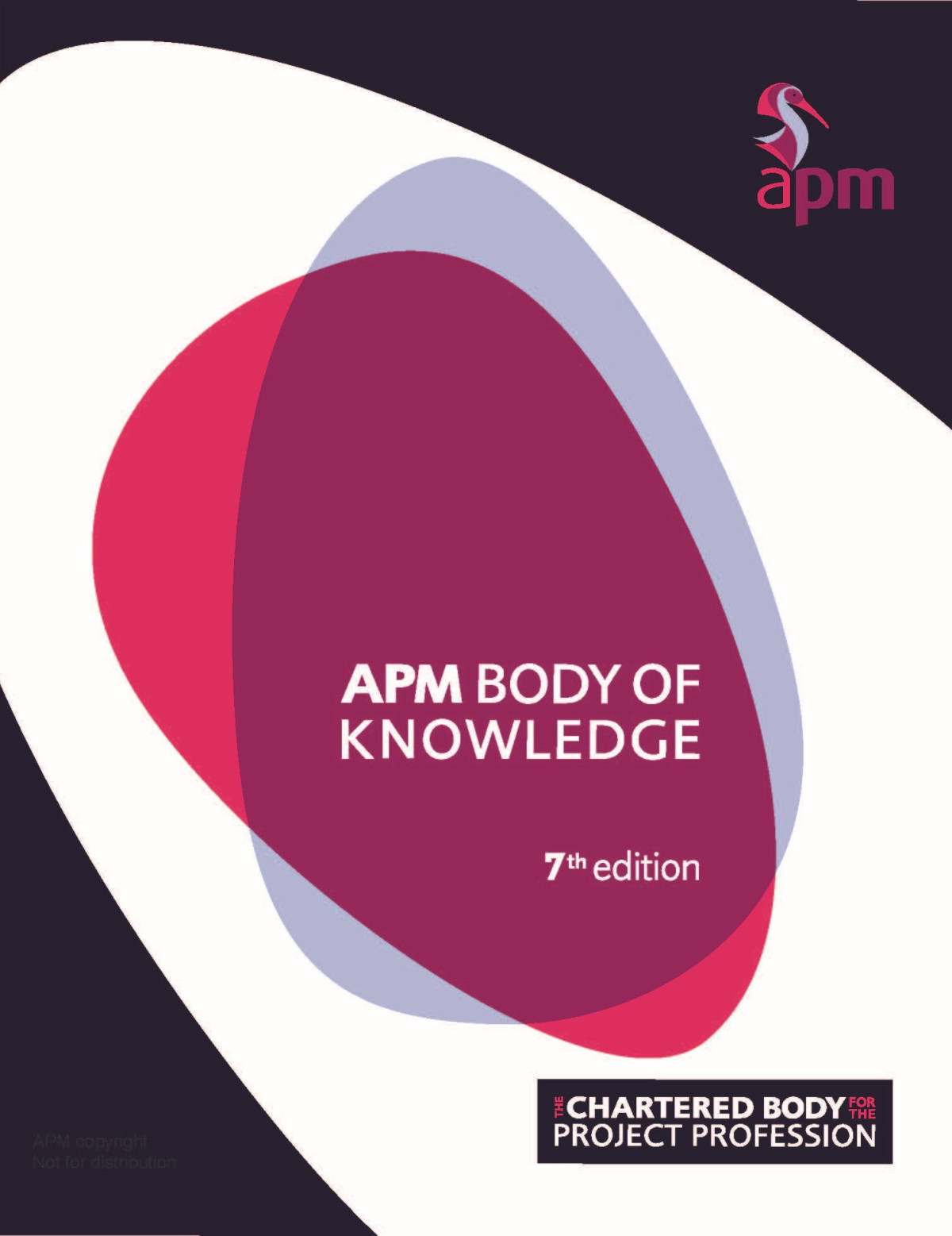 Apm Body Of Knowledge 7th Edition Ruth Murraywebster Darren Dalcher Editors