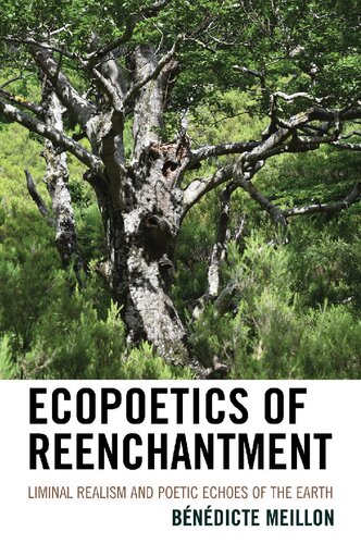 Ecopoetics Of Reenchantment Liminal Realism And Poetic Echoes Of The Earth 1st Edition Bndicte Meillon