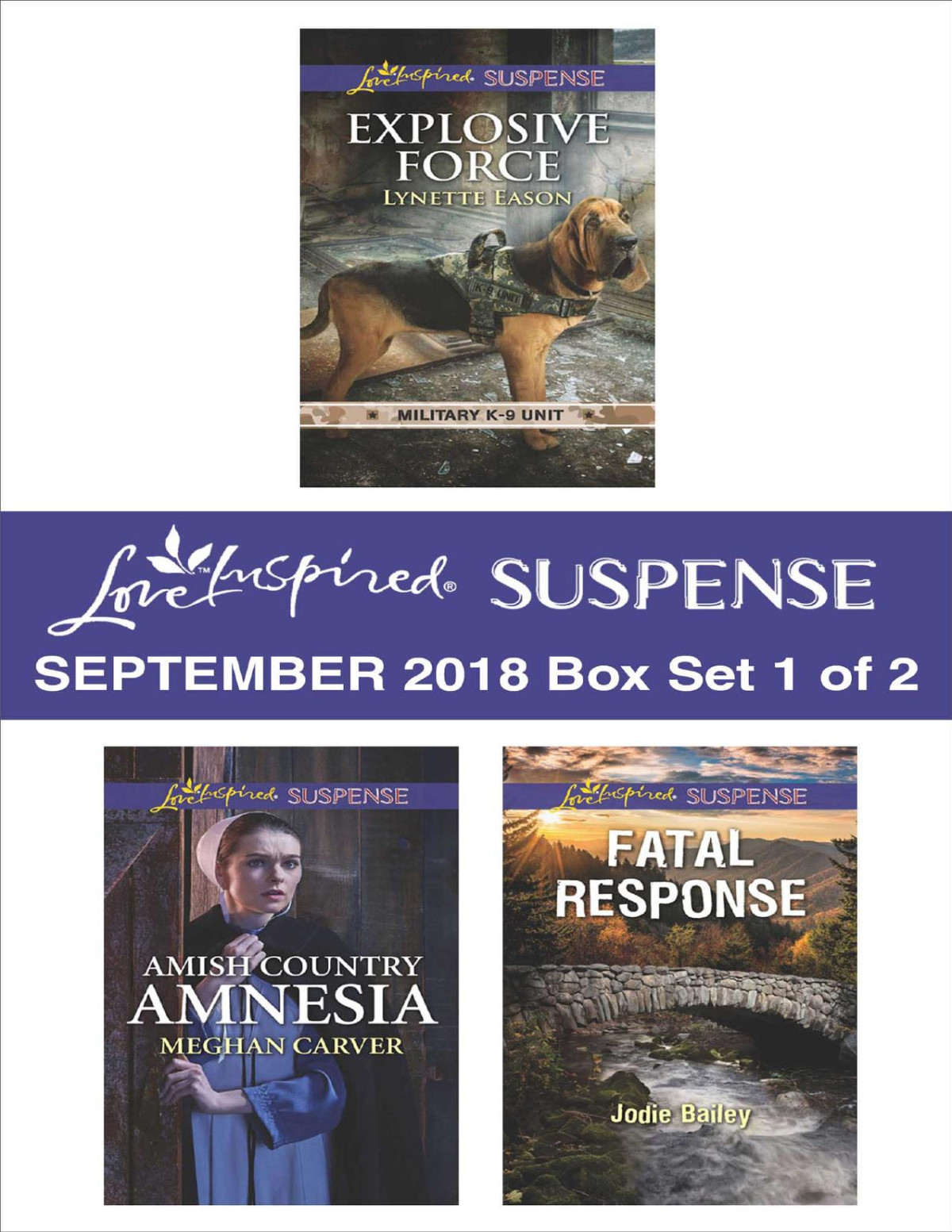 Harlequin Love Inspired Suspense September 2018box Set 1 Of 2 Lynette Eason