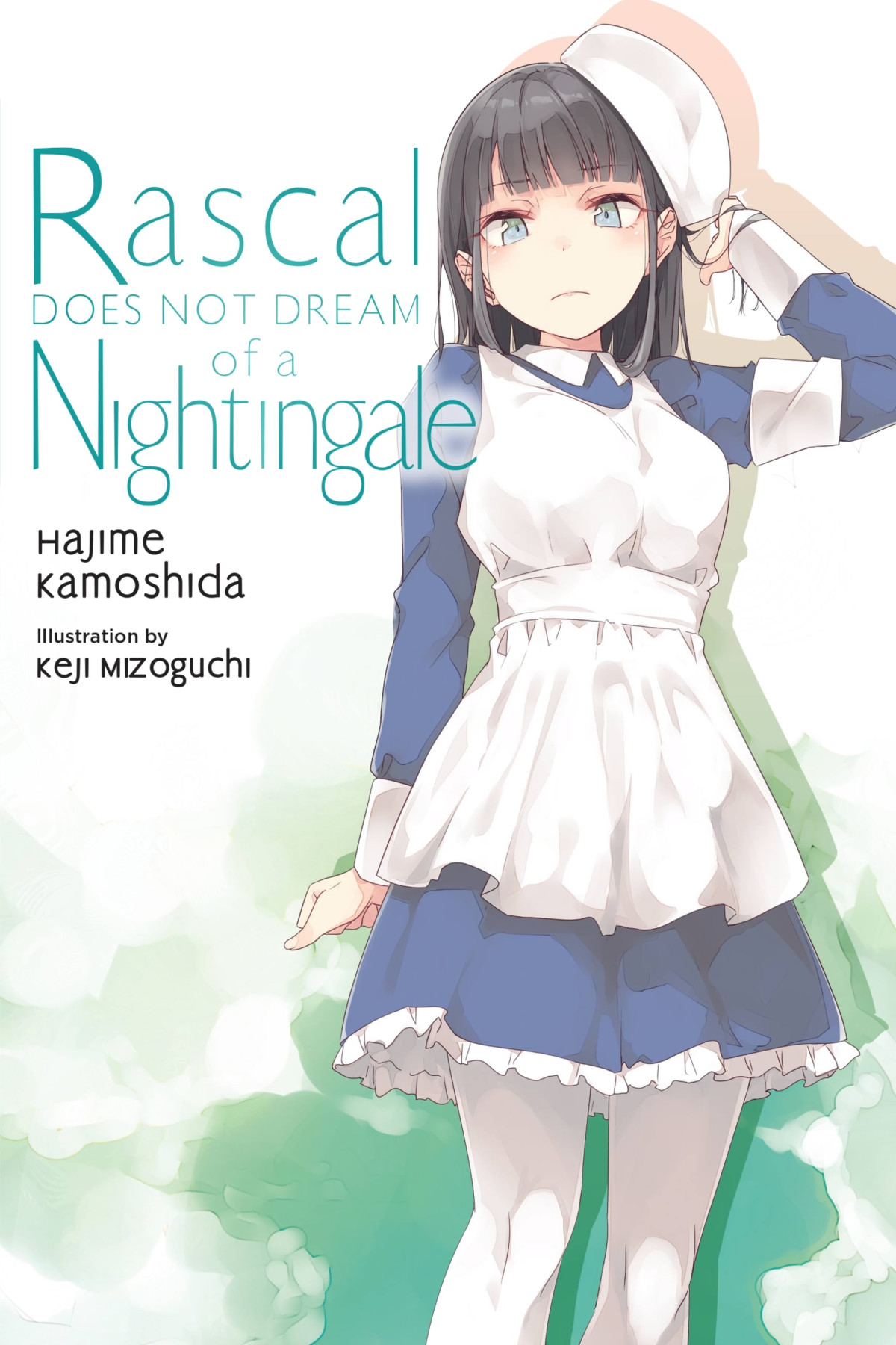 Rascal Does Not Dream Of A Nightingale Vol 11 Hajime Kamoshida And Keji Mizoguchi