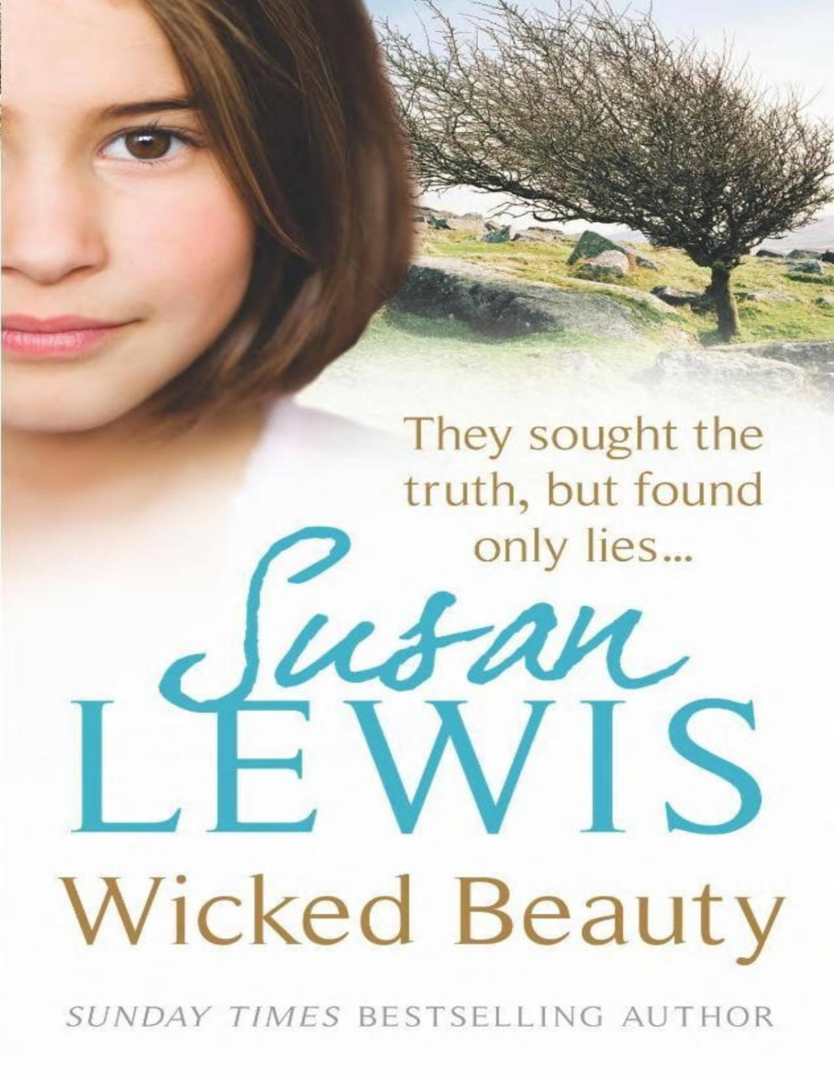 Wicked Beauty Susan Lewis