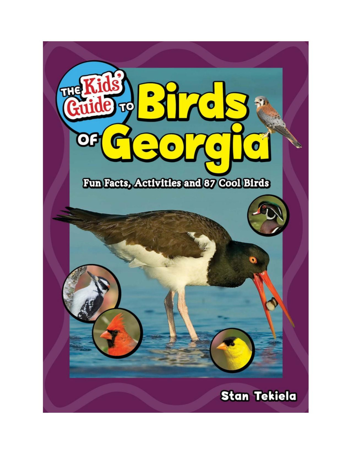 Kids Guide To Birds Of Georgia Stan Tekiela
