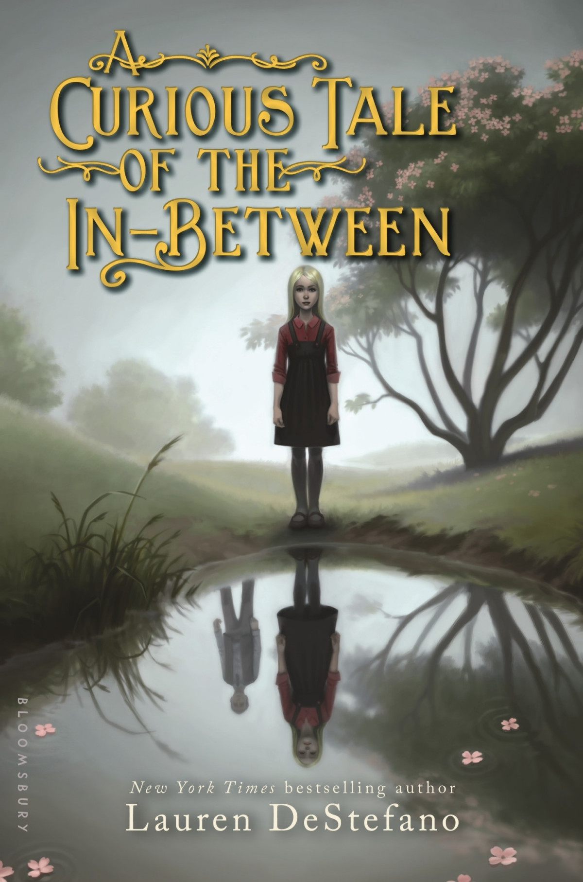 A Curious Tale Of The Inbetween Lauren Destefano