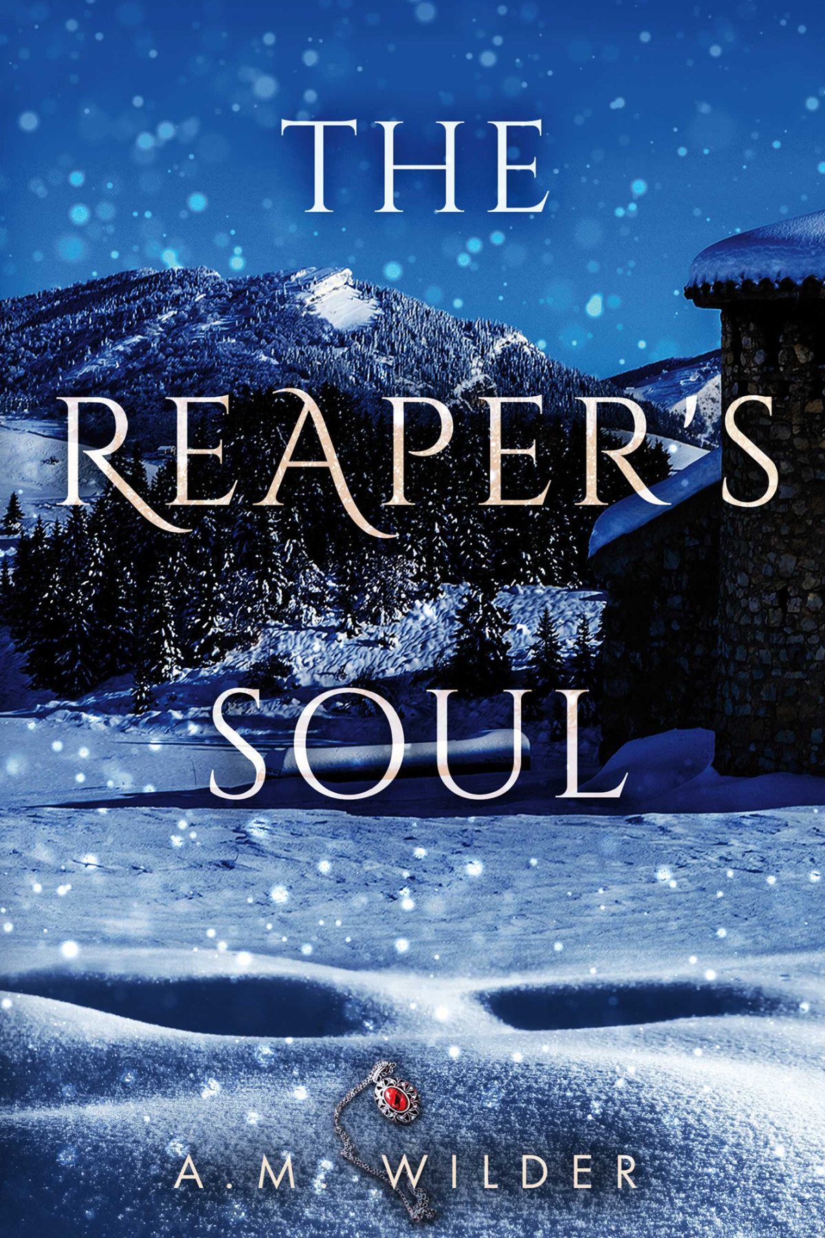 The Reapers Soul A M Wilder