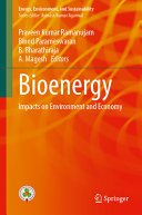 Bioenergy Impacts On Environment And Economy Praveen Kumar Ramanujam