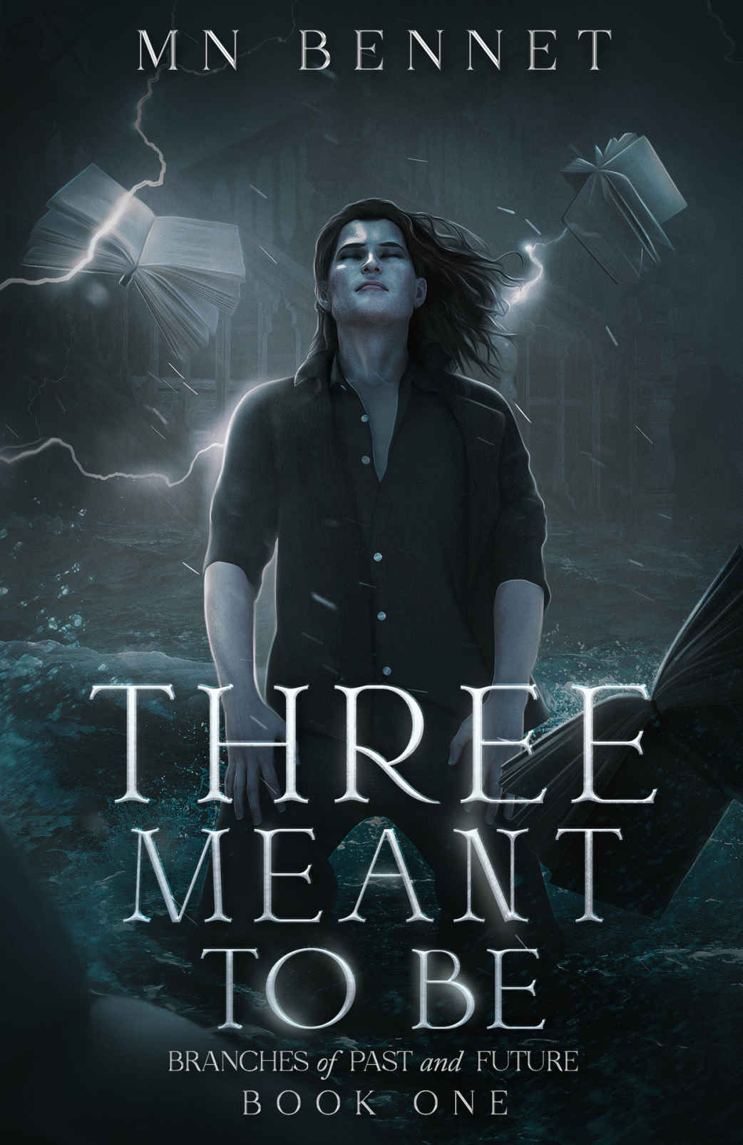 Three Meant To Be Branches Of Past And Future Book One Mn Bennet
