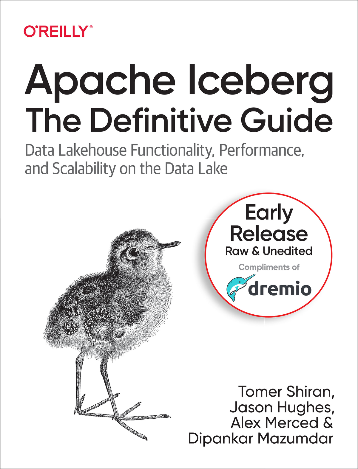 Apache Iceberg The Definitive Guide Third Release Tomer Shiran Jason Hughes Alex Merced Dipankar Mazumdar